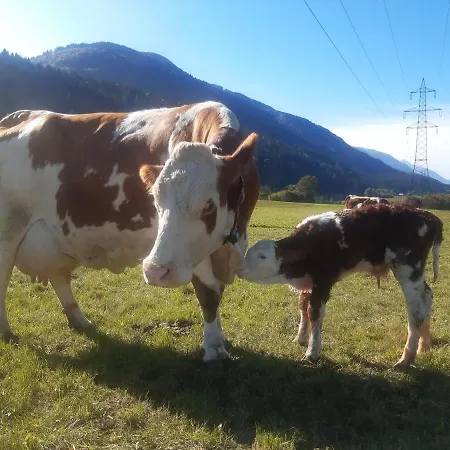 Apartament Bauernhof Oberloeffele