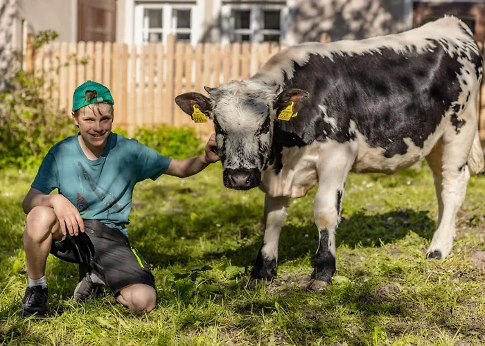 Bauernhof Oberloeffele דירה *