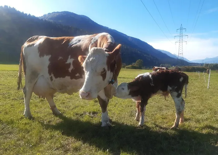 דירה Bauernhof Oberloeffele